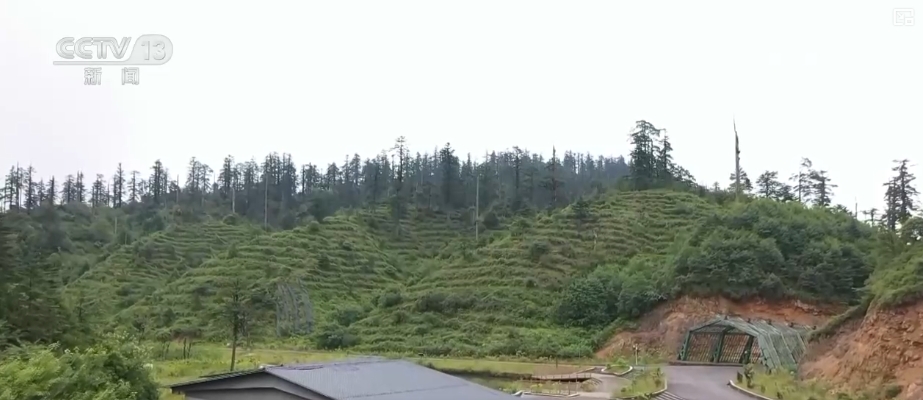 
浙江第二医院黄牛代挂号电话票贩子号贩子网上预约挂号,住院检查加快,大熊猫醉水、新面孔频现、守护“象”往的生活，看美丽中国生动写照