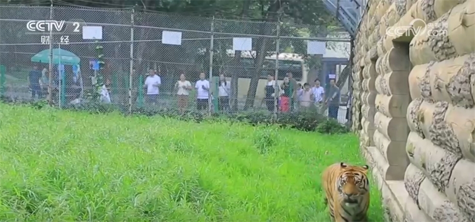 
中山大学肿瘤医院黄牛代挂号电话票贩子号贩子网上预约挂号,住院检查加快,“避暑”游、沉浸游、花式夜游……中国文旅消费市场释放“热力十足”新潜力