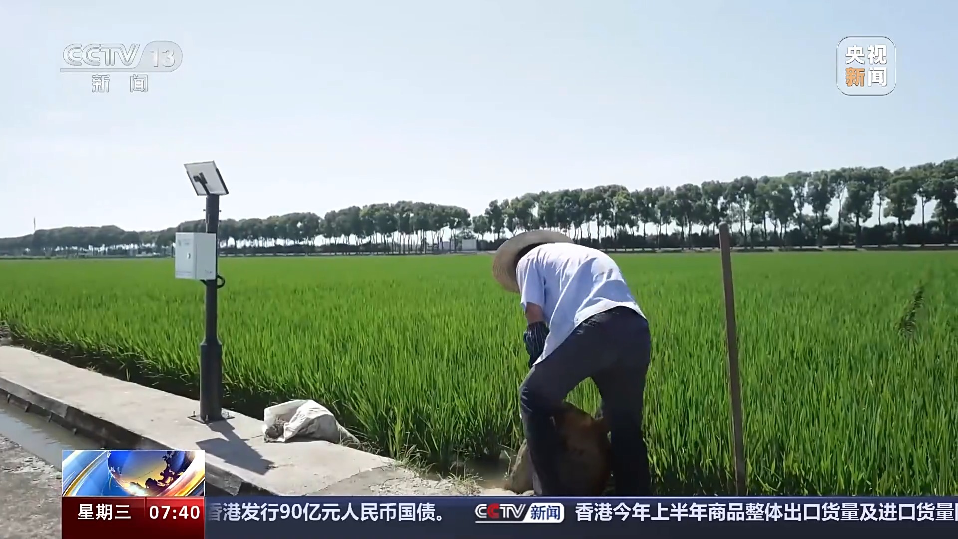 
广东省中医院黄牛代挂号电话票贩子号贩子网上预约挂号,住院检查加快,方式之变、效率之变、要素之变 三大变化看秋粮生产