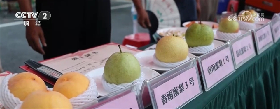 
中山大学肿瘤医院黄牛代挂号电话票贩子号贩子网上预约挂号,住院检查加快,“避暑”游、沉浸游、花式夜游……中国文旅消费市场释放“热力十足”新潜力