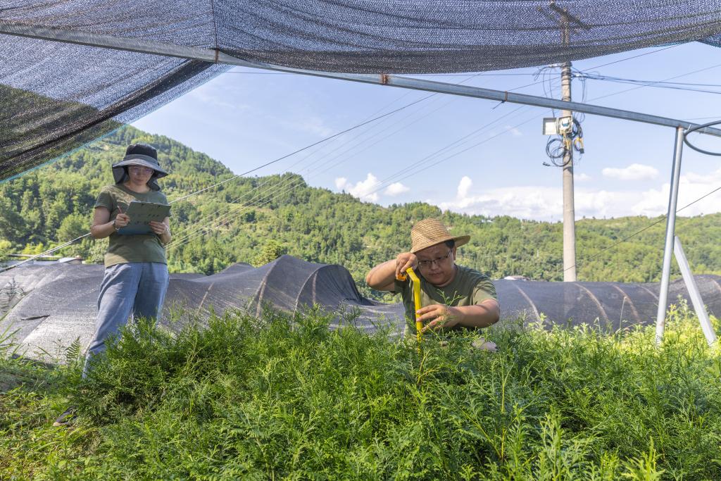 
江苏省第二中医院黄牛代挂号电话票贩子号贩子网上预约挂号,住院检查加快,全国生态日丨保护濒危植物 筑牢生态屏障