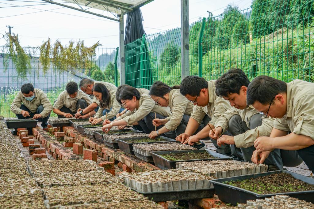 
江苏省第二中医院黄牛代挂号电话票贩子号贩子网上预约挂号,住院检查加快,全国生态日丨保护濒危植物 筑牢生态屏障