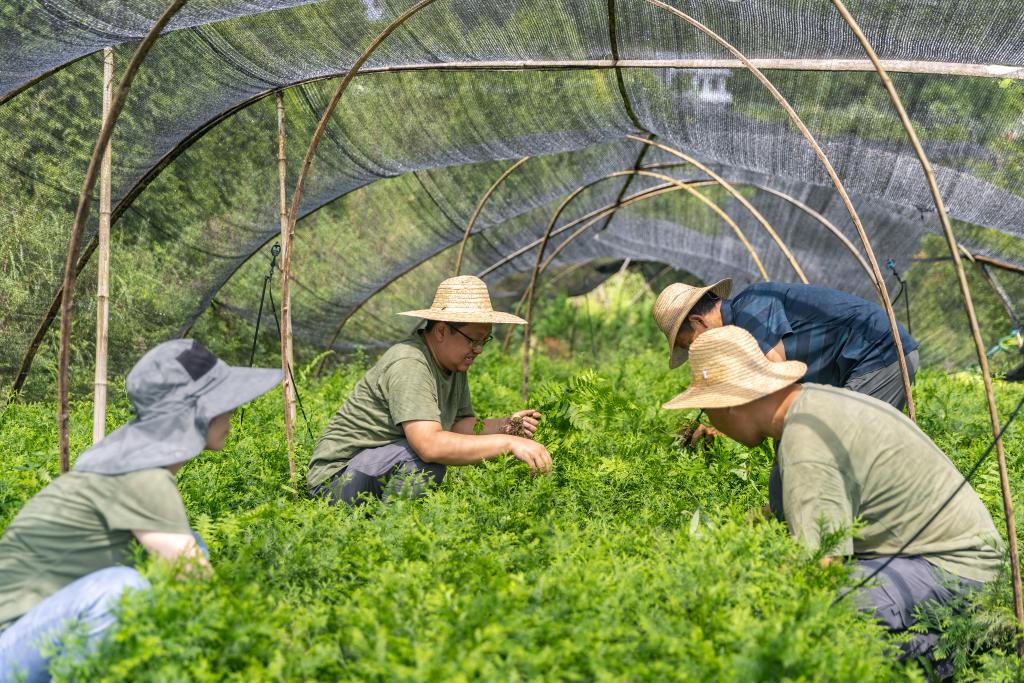 
江苏省第二中医院黄牛代挂号电话票贩子号贩子网上预约挂号,住院检查加快,全国生态日丨保护濒危植物 筑牢生态屏障