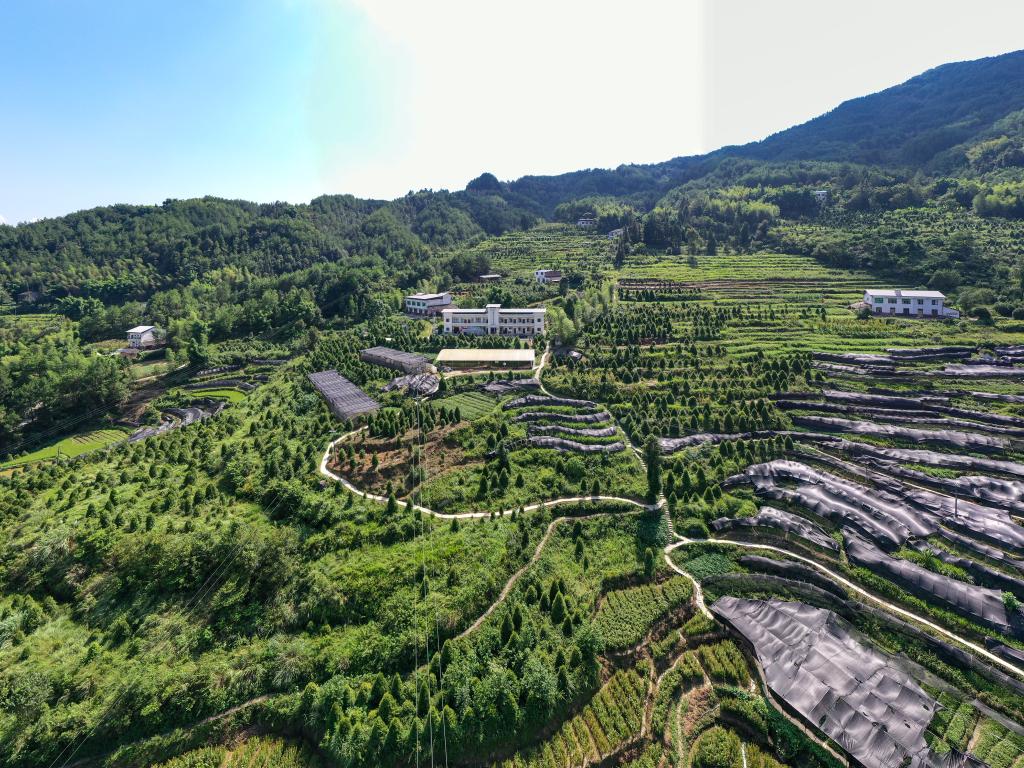 
江苏省第二中医院黄牛代挂号电话票贩子号贩子网上预约挂号,住院检查加快,全国生态日丨保护濒危植物 筑牢生态屏障