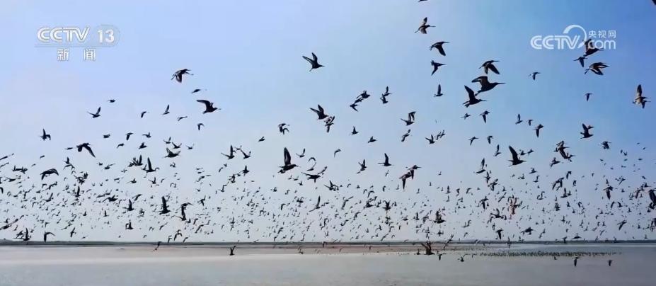 
中山一院黄牛代挂号电话票贩子号贩子网上预约挂号,住院检查加快,变废为宝、和谐共生、AI加持……多地交出生态修复探索实践“答卷”