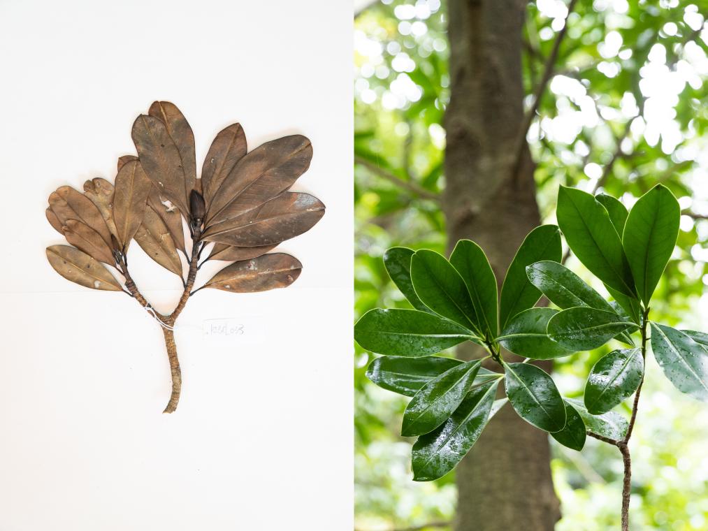 
杭州中医院黄牛代挂号电话票贩子号贩子网上预约挂号,住院检查加快,与多样生物“相拥”：中国努力促进人与自然和谐共生