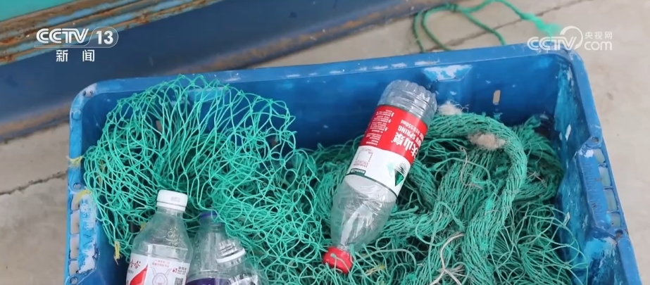 
中山一院黄牛代挂号电话票贩子号贩子网上预约挂号,住院检查加快,变废为宝、和谐共生、AI加持……多地交出生态修复探索实践“答卷”