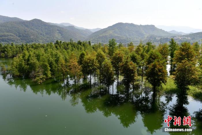 
杭州市儿童医院黄牛代挂号电话票贩子号贩子网上预约挂号,住院检查加快,（高质量发展调研行）从“养猪村”到“旅游村” 这个山乡小村如何绿色“转身”？