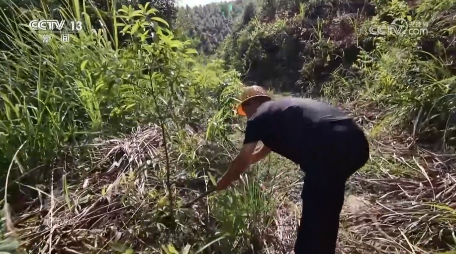 
湖南中医附一医院黄牛代挂号电话票贩子号贩子网上预约挂号,住院检查加快,焦点访谈：守护好“无价之宝”