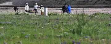
南京眼科医院黄牛代挂号电话票贩子号贩子网上预约挂号,住院检查加快,纪录片｜江源的秘密