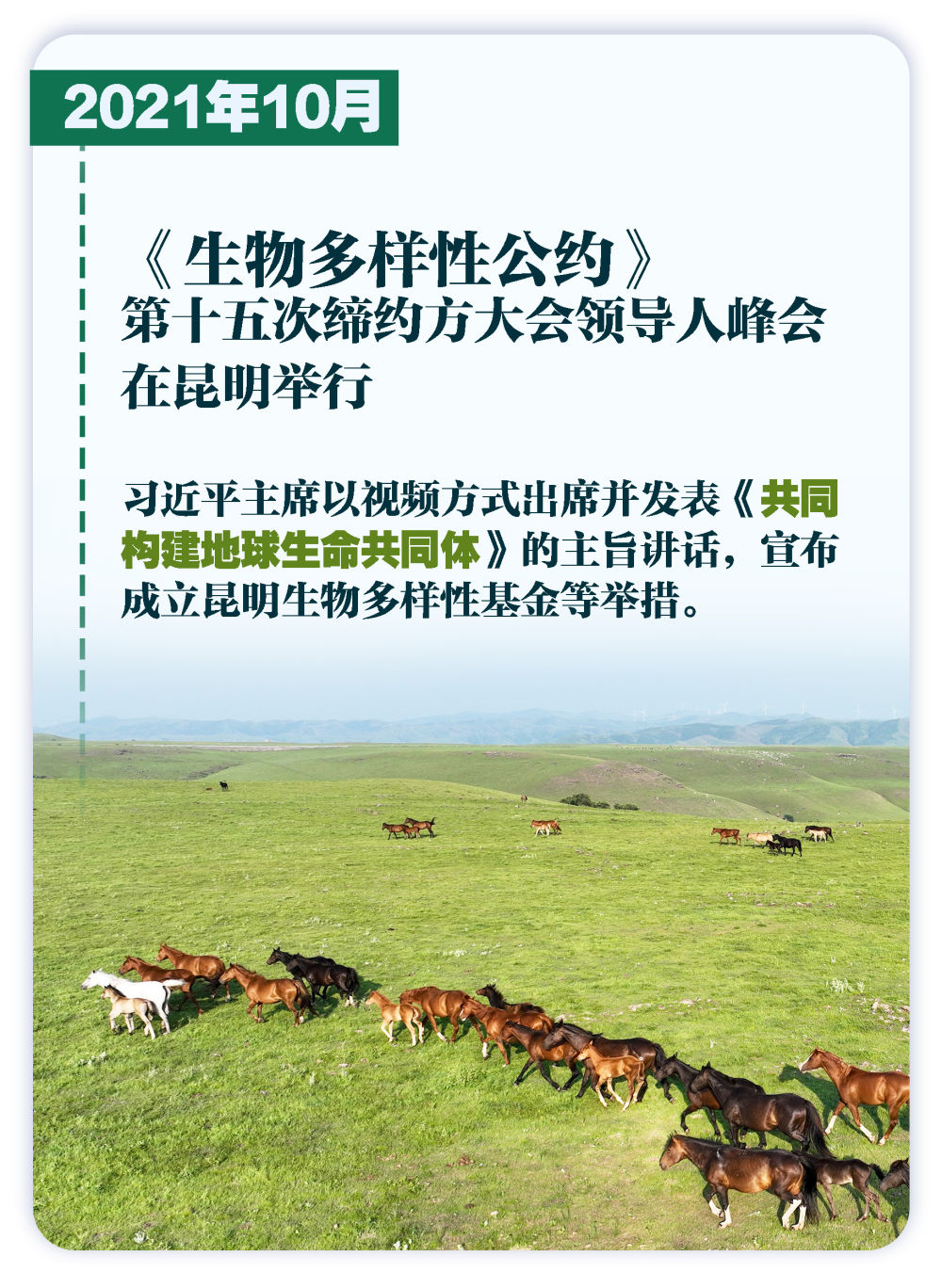 
北京大学第三医院黄牛代挂号电话票贩子号贩子网上预约挂号,住院检查加快,这些大事件，铭刻生态文明建设壮阔历程