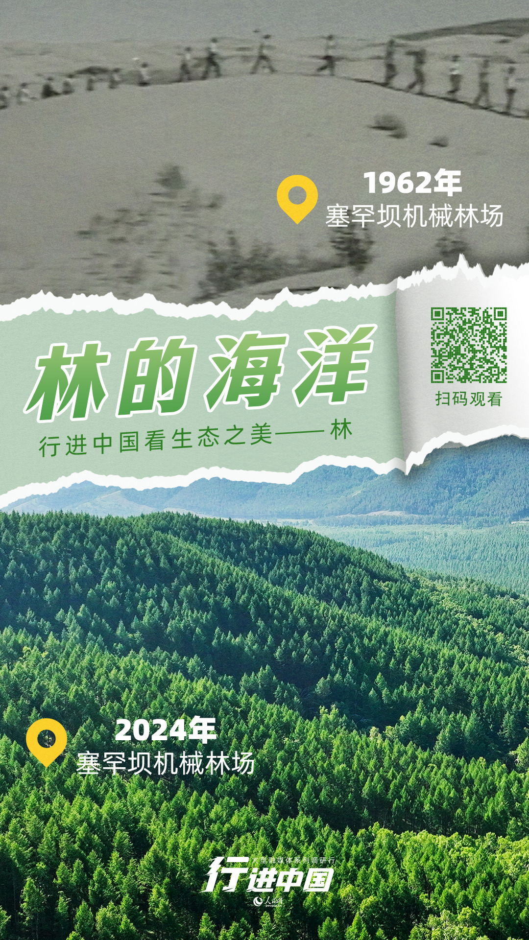 
长沙各大医院黄牛代挂号电话票贩子号贩子网上预约挂号,住院检查加快,林的海洋