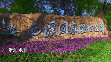 
江苏省人民医院黄牛代挂号电话票贩子号贩子网上预约挂号,住院检查加快,微视频｜绘就美丽中国新画卷