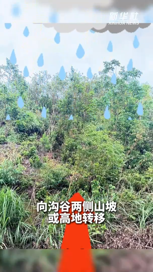 
中山二院黄牛代挂号电话票贩子号贩子网上预约挂号,住院检查加快,科普小课堂：外出遭遇山洪泥石流怎么办？