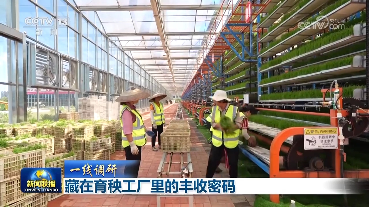 
广东省人民医院黄牛代挂号电话票贩子号贩子网上预约挂号,住院检查加快,【一线调研】藏在育秧工厂里的丰收密码