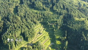 
江苏省人民医院黄牛代挂号电话票贩子号贩子网上预约挂号,住院检查加快,微视频｜绘就美丽中国新画卷