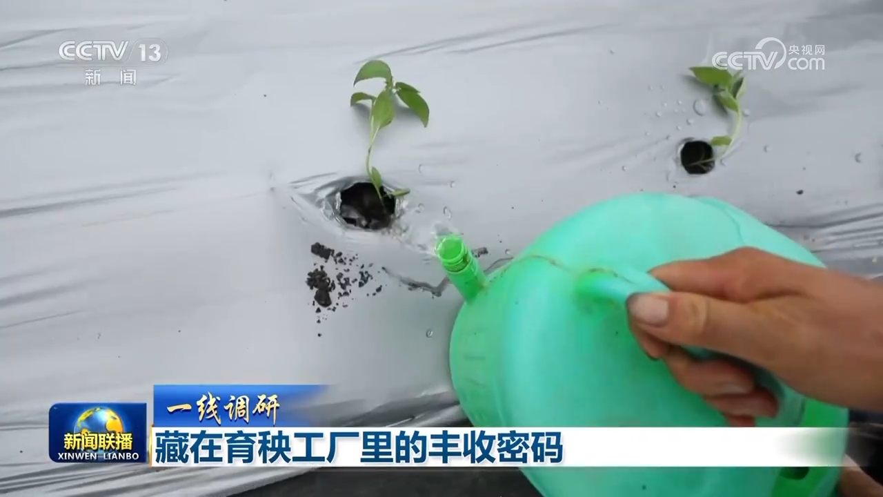 
广东省人民医院黄牛代挂号电话票贩子号贩子网上预约挂号,住院检查加快,【一线调研】藏在育秧工厂里的丰收密码
