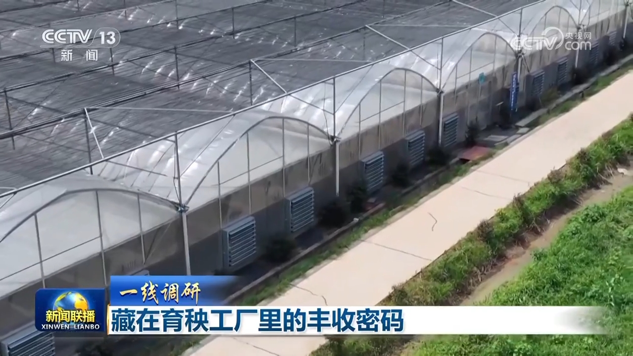 
广东省人民医院黄牛代挂号电话票贩子号贩子网上预约挂号,住院检查加快,【一线调研】藏在育秧工厂里的丰收密码