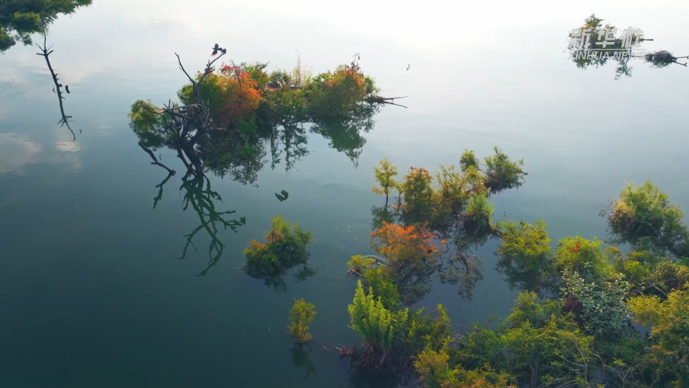 
江苏省人民医院黄牛代挂号电话票贩子号贩子网上预约挂号,住院检查加快,微视频｜绘就美丽中国新画卷