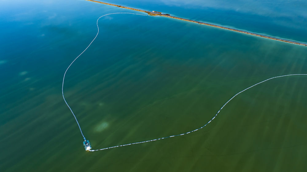 
上海华山医院黄牛代挂号电话票贩子号贩子网上预约挂号,住院检查加快,文旅新探｜坐着火车“浪”西北