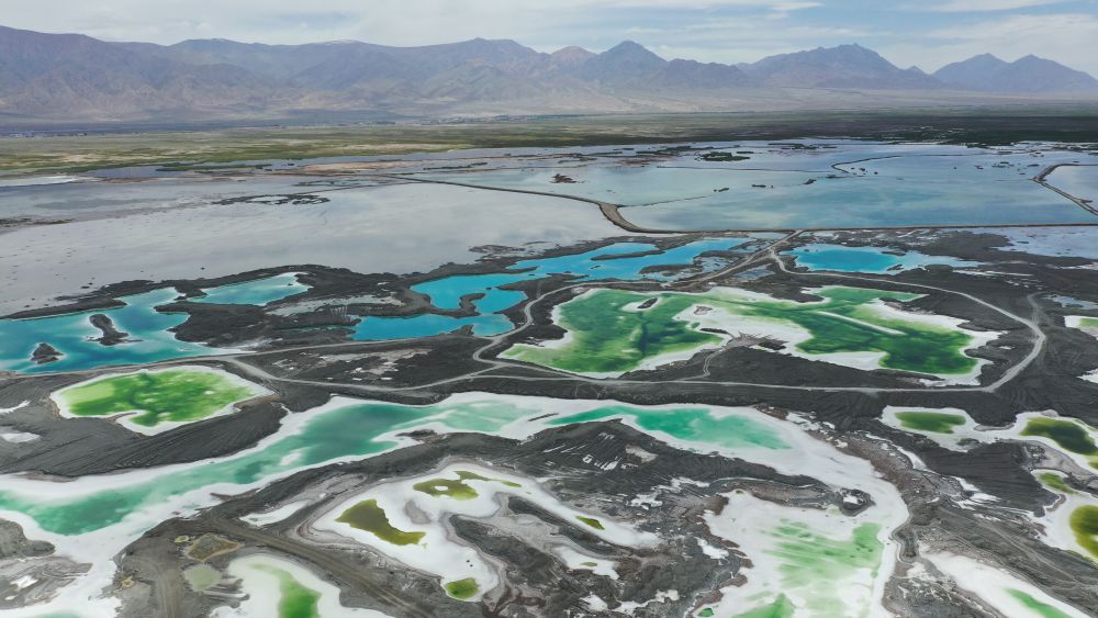 
上海华山医院黄牛代挂号电话票贩子号贩子网上预约挂号,住院检查加快,文旅新探｜坐着火车“浪”西北