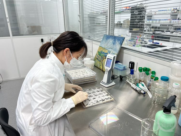 
广东省人民医院黄牛代挂号电话票贩子号贩子网上预约挂号,住院检查加快,文化中国行 | 他们为文物“捉虫”