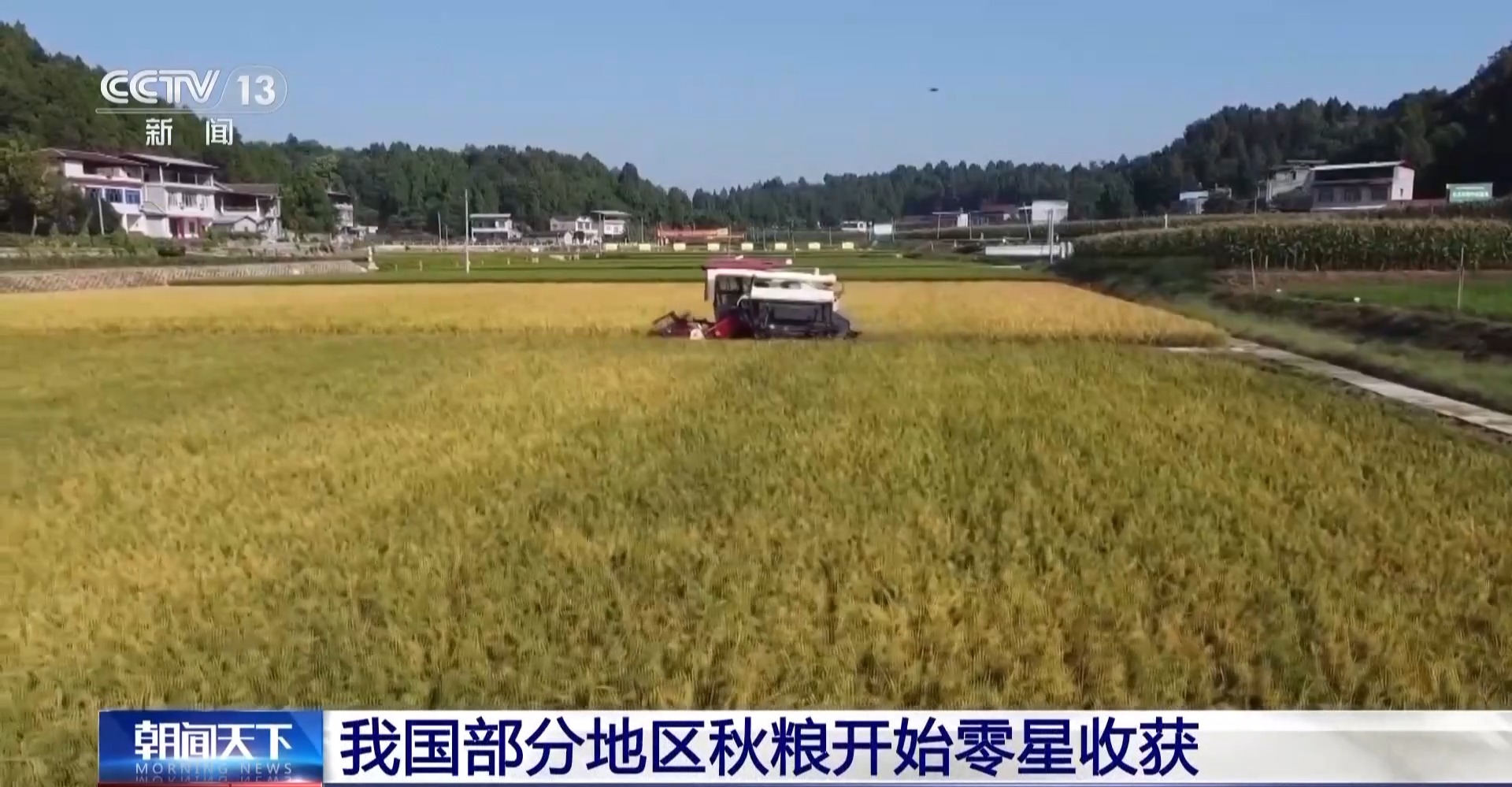 
北京八大处整形医院黄牛代挂号电话票贩子号贩子网上预约挂号,住院检查加快,“三伏热浪走 初秋气象新” 我国最早秋粮开始收获