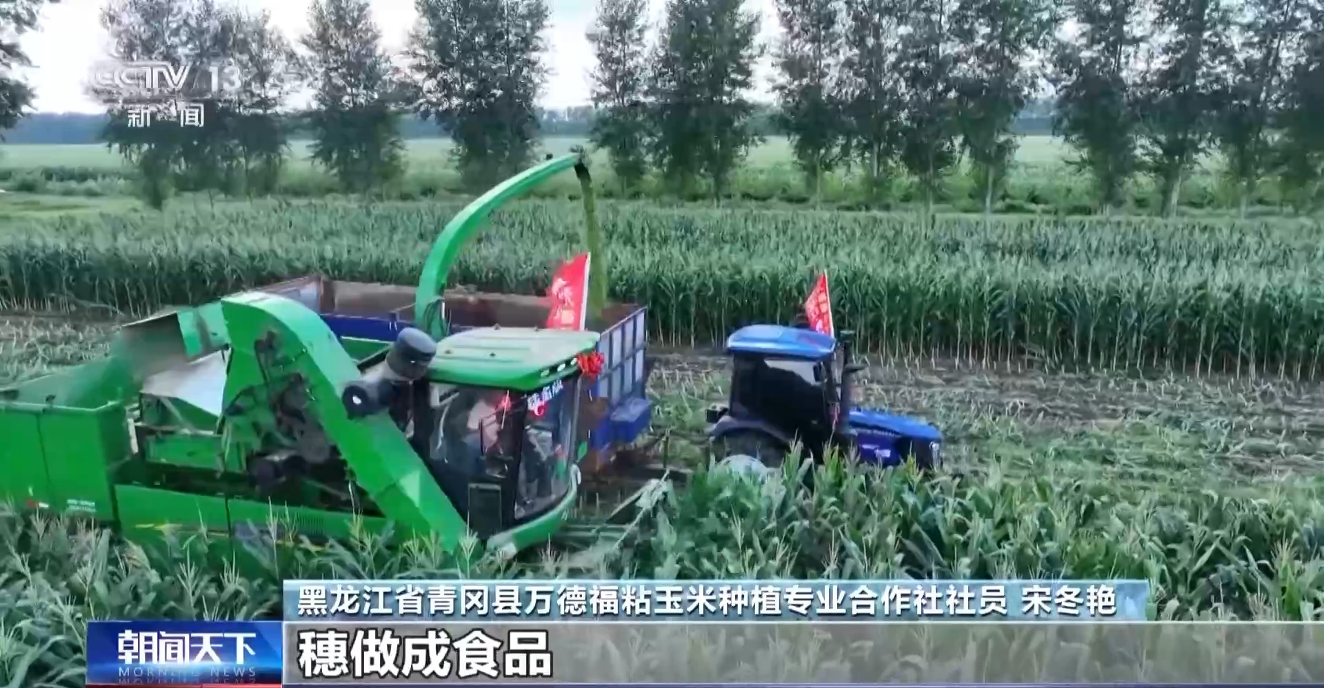 
北京八大处整形医院黄牛代挂号电话票贩子号贩子网上预约挂号,住院检查加快,“三伏热浪走 初秋气象新” 我国最早秋粮开始收获