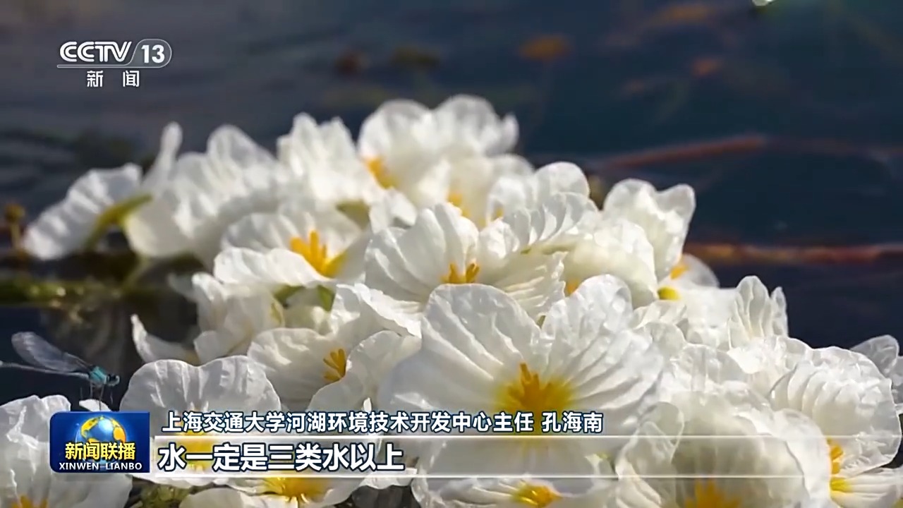 
北京同仁医院黄牛代挂号电话票贩子号贩子网上预约挂号,住院检查加快,新思想引领新征程丨洱海治理从“一湖之治”到“生态之治”