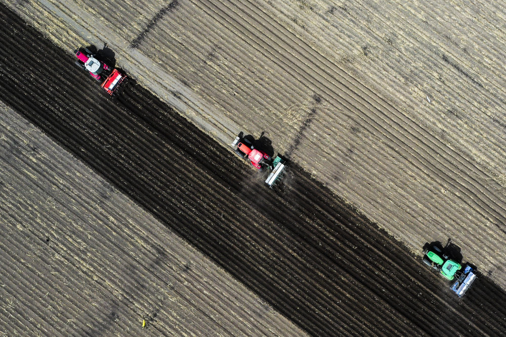 
北京协和医院黄牛代挂号电话票贩子号贩子网上预约挂号,住院检查加快,镜观·回响｜当好国家粮食稳产保供“压舱石”