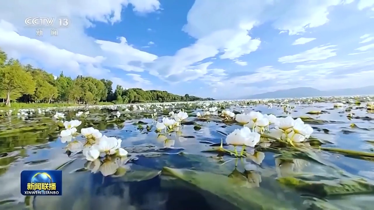 
北京同仁医院黄牛代挂号电话票贩子号贩子网上预约挂号,住院检查加快,新思想引领新征程丨洱海治理从“一湖之治”到“生态之治”