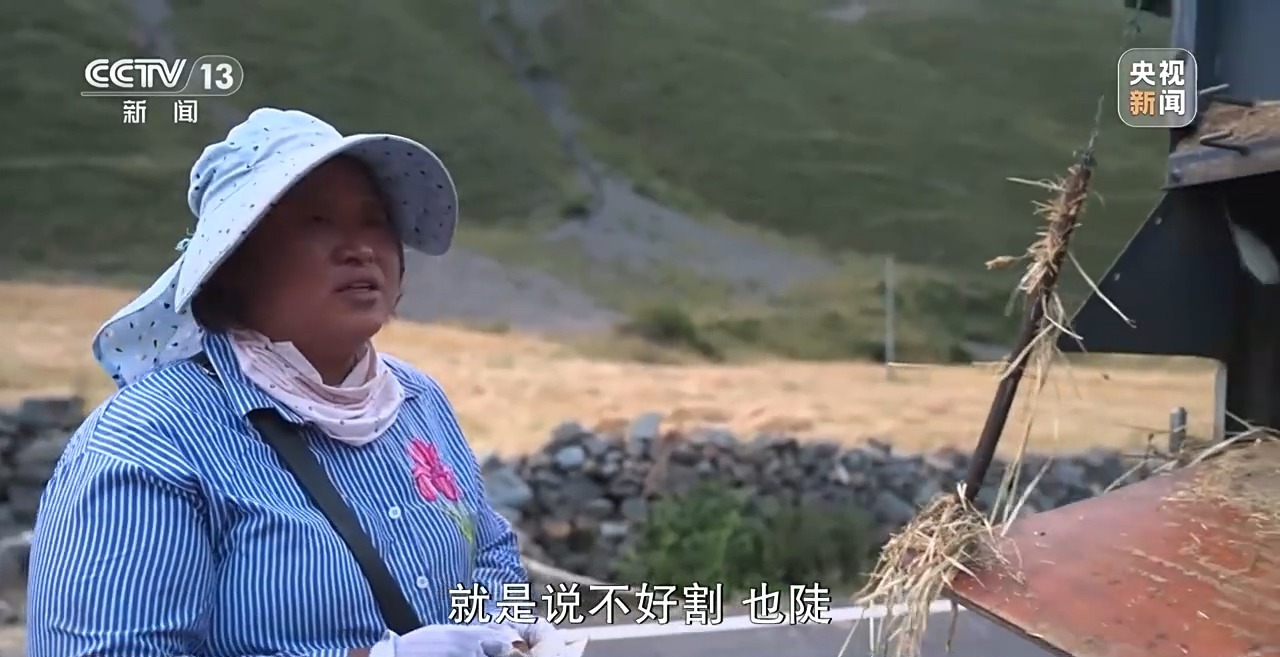
浙江医院黄牛代挂号电话票贩子号贩子网上预约挂号,住院检查加快,新闻周刊丨青稞成熟美如画 他们一路见证丰收喜悦