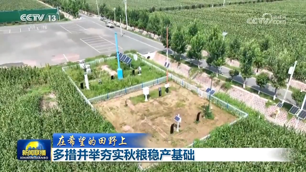 
江苏省肿瘤医院黄牛代挂号电话票贩子号贩子网上预约挂号,住院检查加快,【在希望的田野上】多措并举夯实秋粮稳产基础
