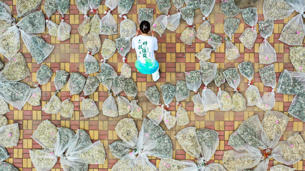 
北京协和医院黄牛代挂号电话票贩子号贩子网上预约挂号,住院检查加快,镜观·回响｜当好国家粮食稳产保供“压舱石”
