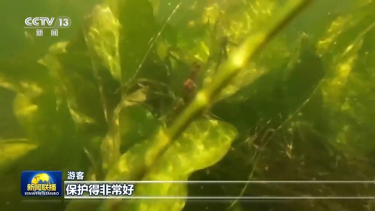 
北京同仁医院黄牛代挂号电话票贩子号贩子网上预约挂号,住院检查加快,新思想引领新征程丨洱海治理从“一湖之治”到“生态之治”