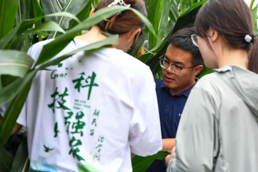 
北京协和医院黄牛代挂号电话票贩子号贩子网上预约挂号,住院检查加快,镜观·回响｜当好国家粮食稳产保供“压舱石”