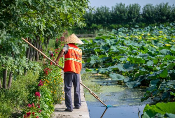 
杭州西溪医院黄牛代挂号电话票贩子号贩子网上预约挂号,住院检查加快,孤山镇环境“靓”起来