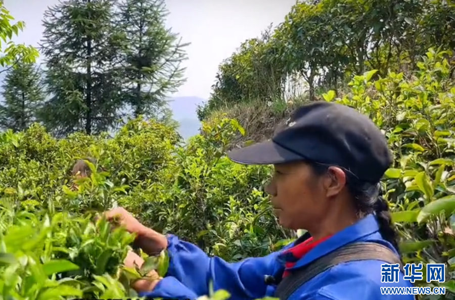 
杭州市人民医院黄牛代挂号电话票贩子号贩子网上预约挂号,住院检查加快,法润彩云南丨网络普法绽放石榴红——云南探索边疆民族地区普法新路径