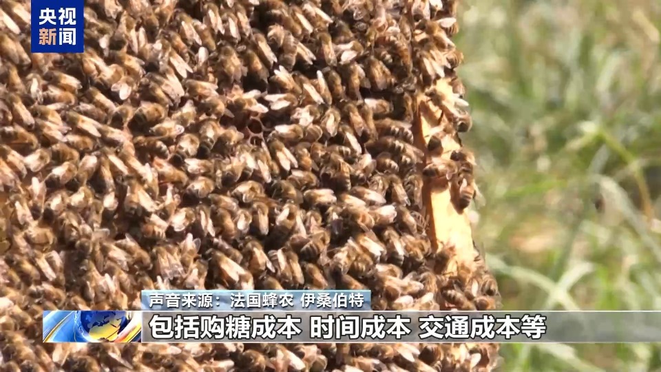 
中山大学附属第一医院黄牛代挂号电话票贩子号贩子网上预约挂号,住院检查加快,法国蜂蜜收获季遇冷 春季低温多雨致产量暴跌