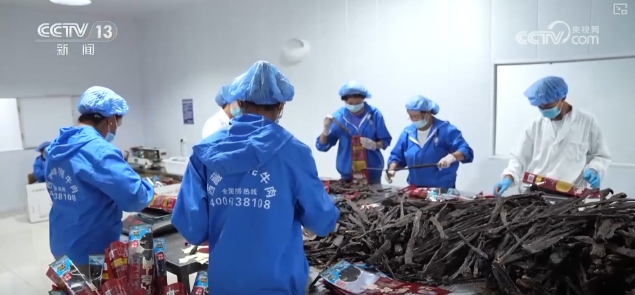 
成都华西医院黄牛代挂号电话票贩子号贩子网上预约挂号,住院检查加快,对口支援西藏30周年 | 挖掘“家门口”就业潜力 做强民族地区特色劳务品牌
