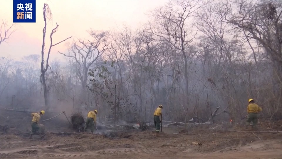 
上海眼耳鼻喉科医院黄牛代挂号电话票贩子号贩子网上预约挂号,住院检查加快,玻利维亚圣克鲁斯省野火复燃 居民被迫撤离