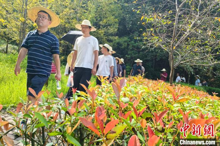 
山东大学齐鲁医院黄牛代挂号电话票贩子号贩子网上预约挂号,住院检查加快,长征路上学党史丨“红色小上海”福建长汀的生态奇迹