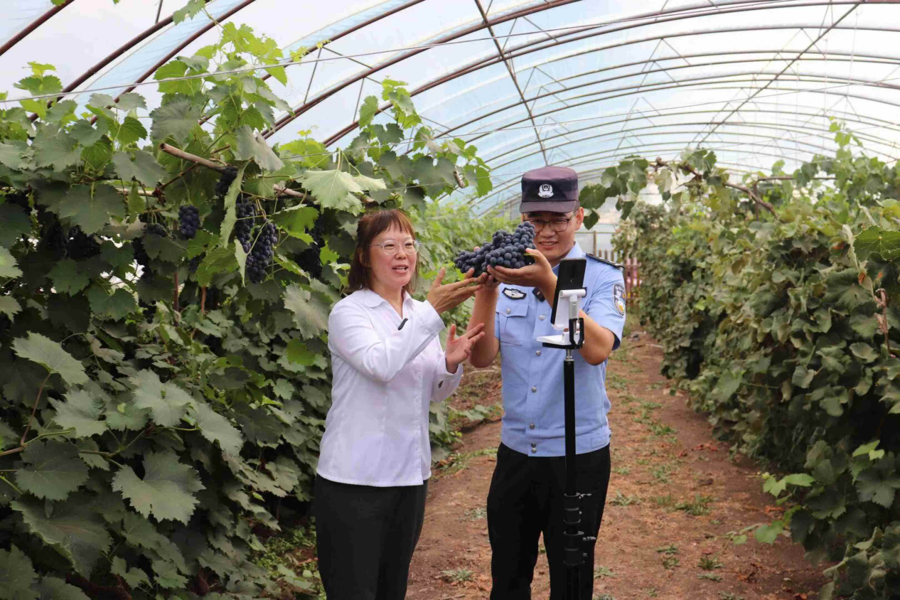 
中国中医科学院广安门医院黄牛代挂号电话票贩子号贩子网上预约挂号,住院检查加快,边疆党旗红丨旅游小城满洲里，如何通过种水果稳边富民
