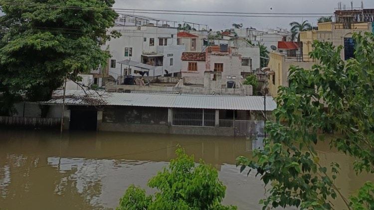 
北医三院黄牛代挂号电话票贩子号贩子网上预约挂号,住院检查加快,印度古吉拉特邦洪水已造成约35人死亡