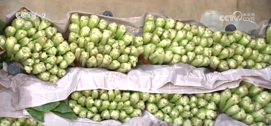 
天津眼科医院黄牛代挂号电话票贩子号贩子网上预约挂号,住院检查加快,市场供应充足 全国蔬菜价格涨幅收窄 9月以后菜价有望逐步回落