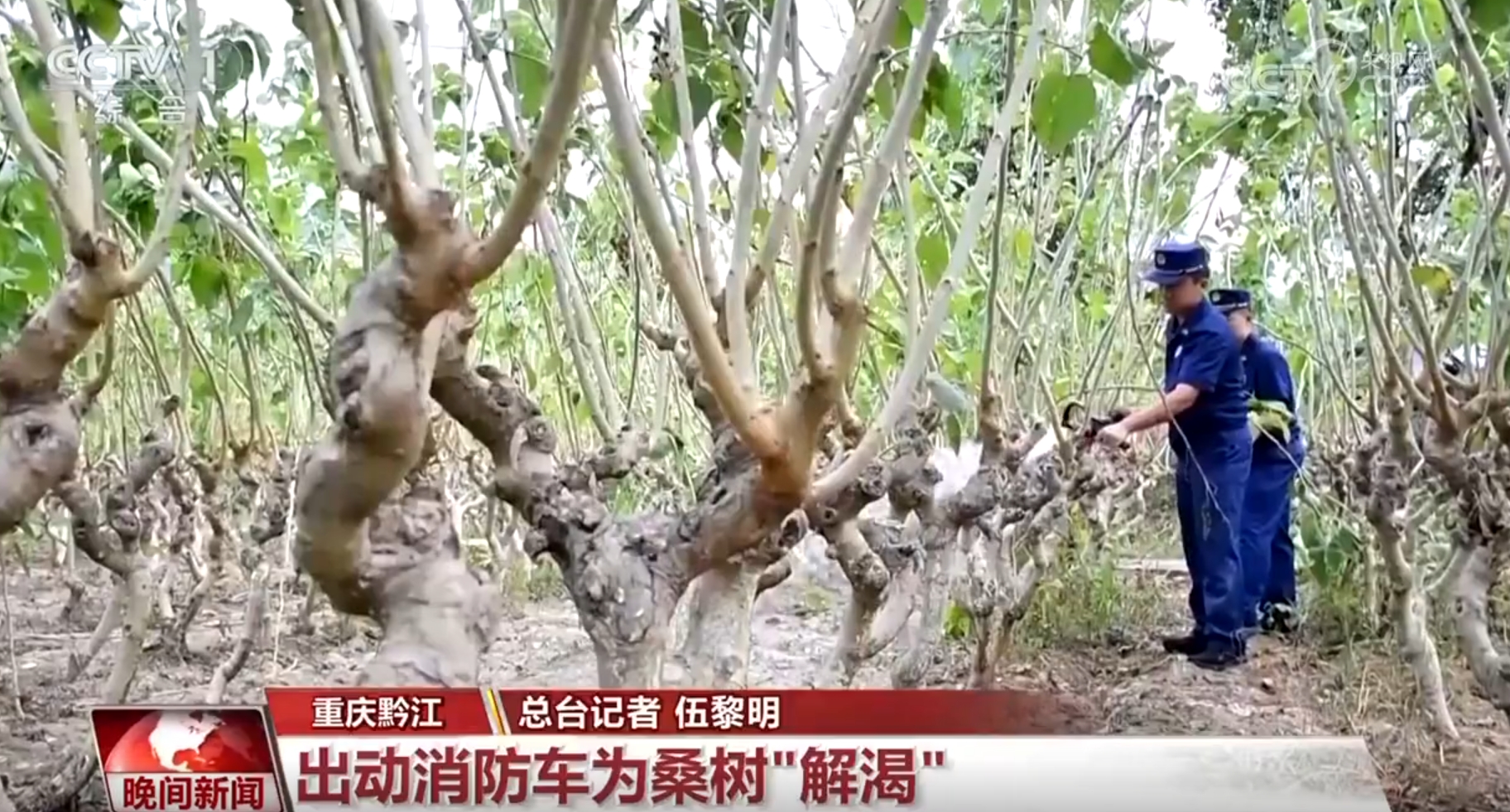 
北京301医院黄牛代挂号电话票贩子号贩子网上预约挂号,住院检查加快,送水、开放防空洞、检修线路……南方多地高温持续 多措并举保民生
