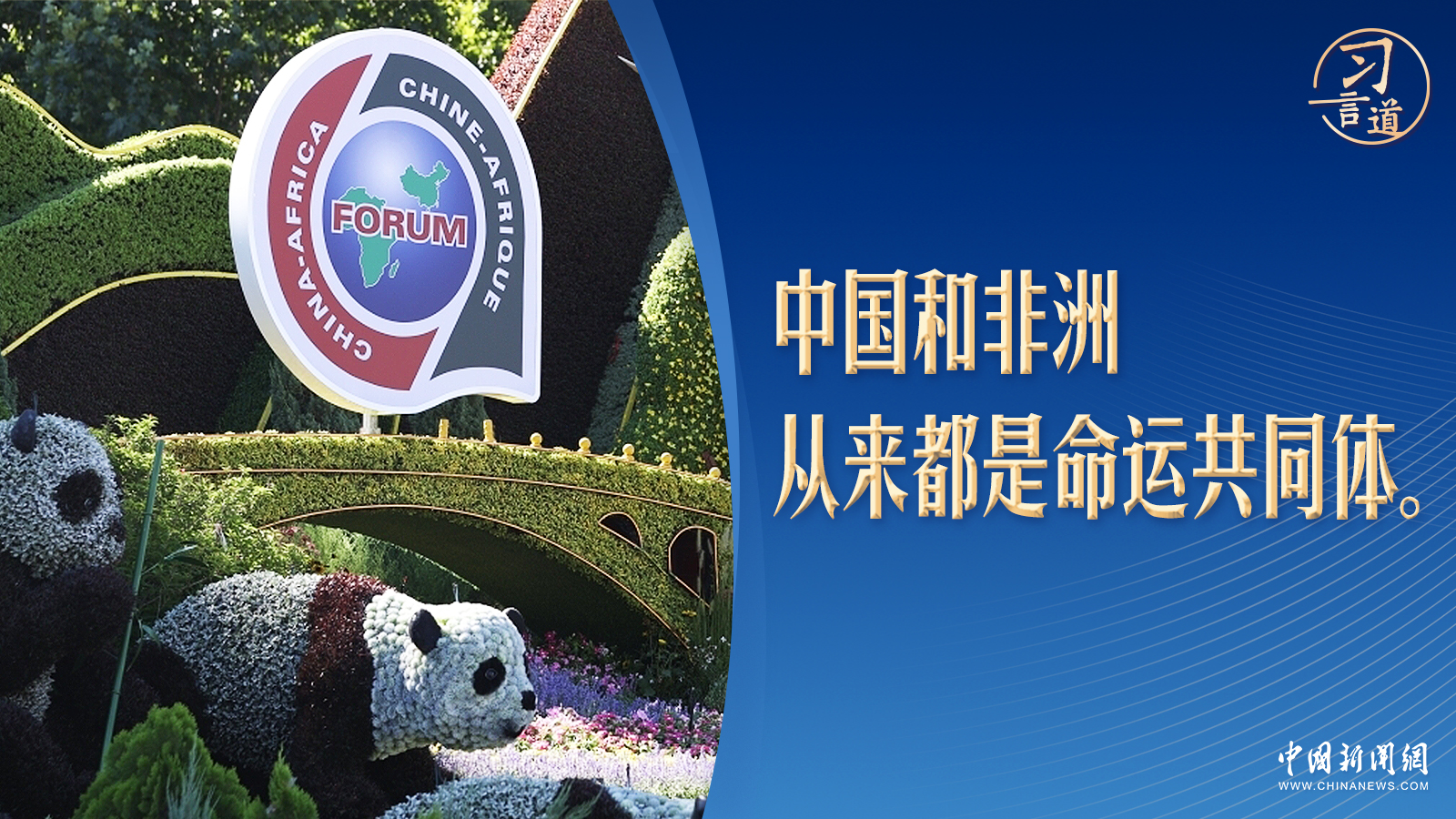 
上海肿瘤医院黄牛代挂号电话票贩子号贩子网上预约挂号,住院检查加快,习言道｜写给非洲的几封信中，习近平都强调这件事