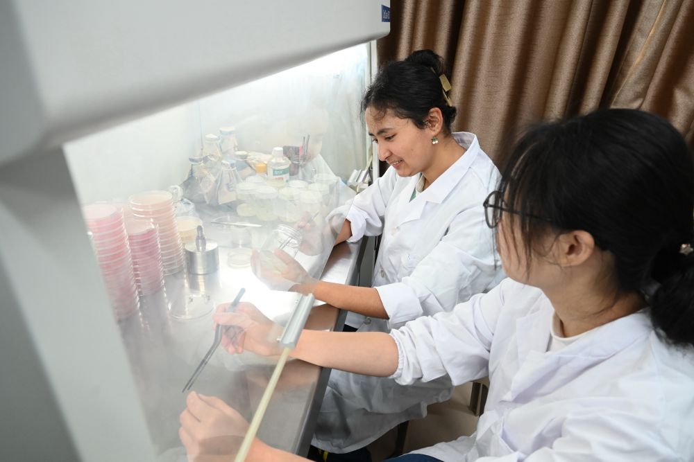 
首都医科大学附属天坛医院黄牛代挂号电话票贩子号贩子网上预约挂号,住院检查加快,镜头连中外·第61辑｜跨越山海 中国菌草在非洲大陆落地生根
