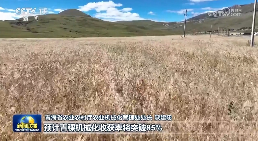 
杭州中医院黄牛代挂号电话票贩子号贩子网上预约挂号,住院检查加快,【在希望的田野上】科技赋能 助力秋粮生产