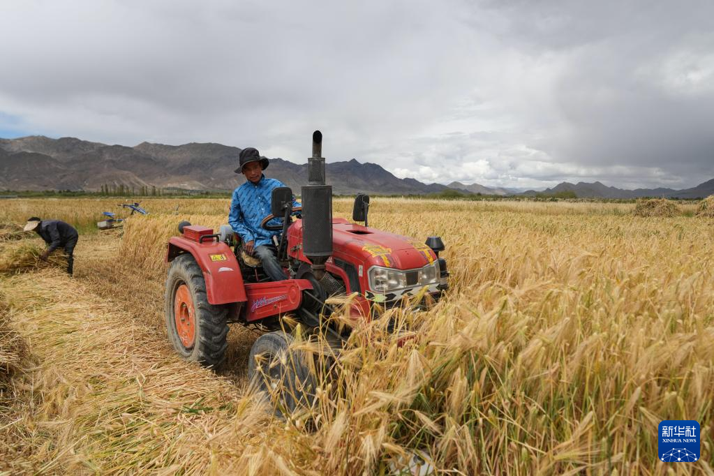 
南京军区总医院黄牛代挂号电话票贩子号贩子网上预约挂号,住院检查加快,“西藏粮仓”奏响丰收曲